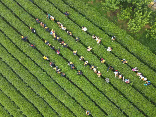 重庆市两江巴蜀中学